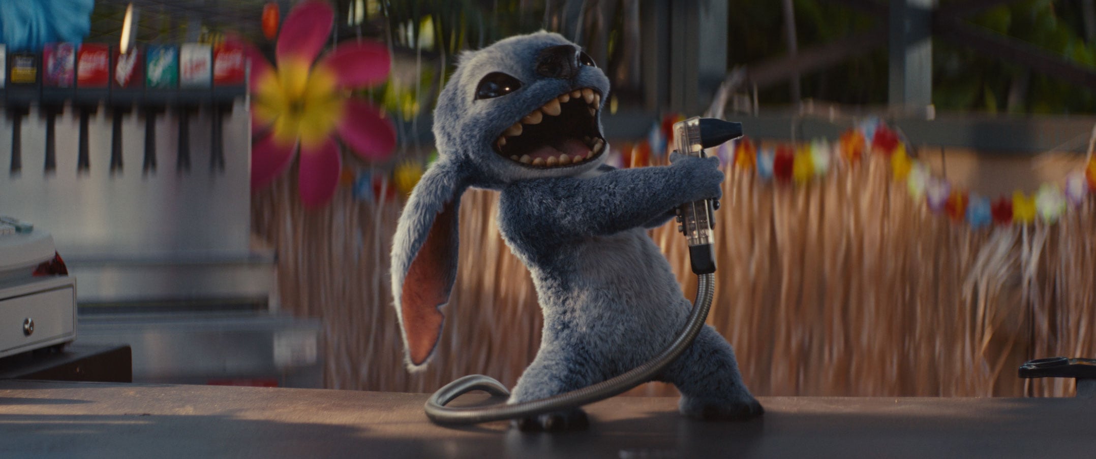 (L-R) Stitch in Disney’s live-action LILO & STITCH. Photo courtesy of Disney. © 2025 Disney Enterprises Inc. All Rights Reserved.