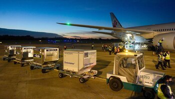 Con la llegada de este