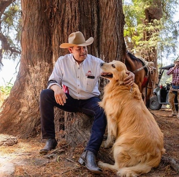 El gobernador Alejandro Armenta ha