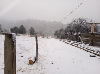 Imagen de la nevada del