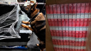 Autoridades frenan ingreso de millones de cigarros apócrifos provenientes desde Asia en el aeropuerto de la Ciudad de México