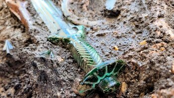 El descubrimiento de una antigua