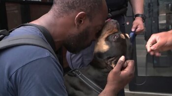 El emotivo reencuentro de un