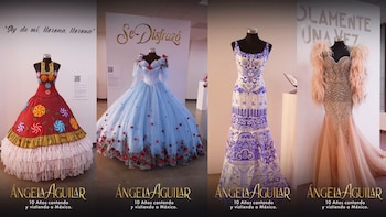 La muestra está conformada por