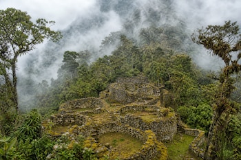 Estructuras circulares de piedra con musgo rodeadas por vegetación densa y neblina entre los árboles.