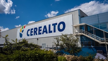 Cerealto eleva un 9,3% sus ventas en 2025 y acelera su crecimiento en España y Estados Unidos