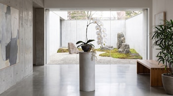 Orquídea blanca sobre un pedestal cilíndrico en una sala con ventanal hacia un jardín exterior de piedras, musgo y grava.