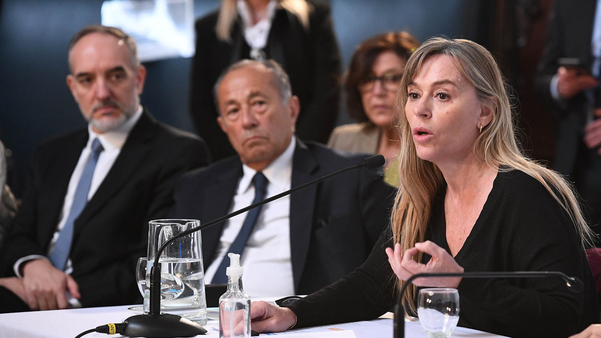 En 2014, Di Tullio apoyó la unificación del Código Civil y Comercial, que eliminó la definición de matrimonio como unión exclusiva de un hombre y una mujer (Celeste Salguero / Comunicación Senado)