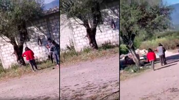 Encuentran a perrita ‘Chocolata’ colgada