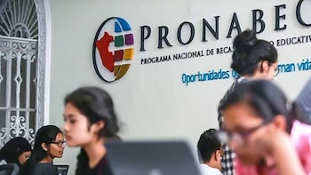 Beca Bicentenario: ¿Qué dice Pronabec sobre los becarios que no retornan al Perú después de sus estudios?