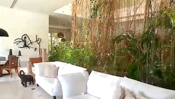 El rincón selvático en el