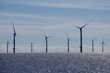 Los proyectos eólicos y de