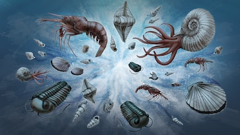 Esta es una ilustración de