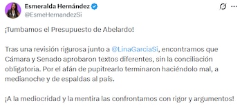 La senadora aseguró que detectó irregularidades en la aprobación del Presupuesto de 2027. - crédito @EsmeHernandezSi/X