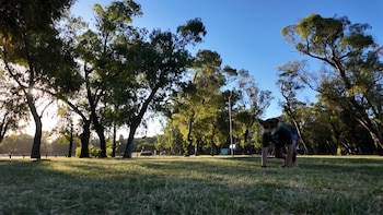 A diferencia de los furries,