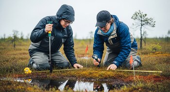 El crecimiento del musgo Sphagnum