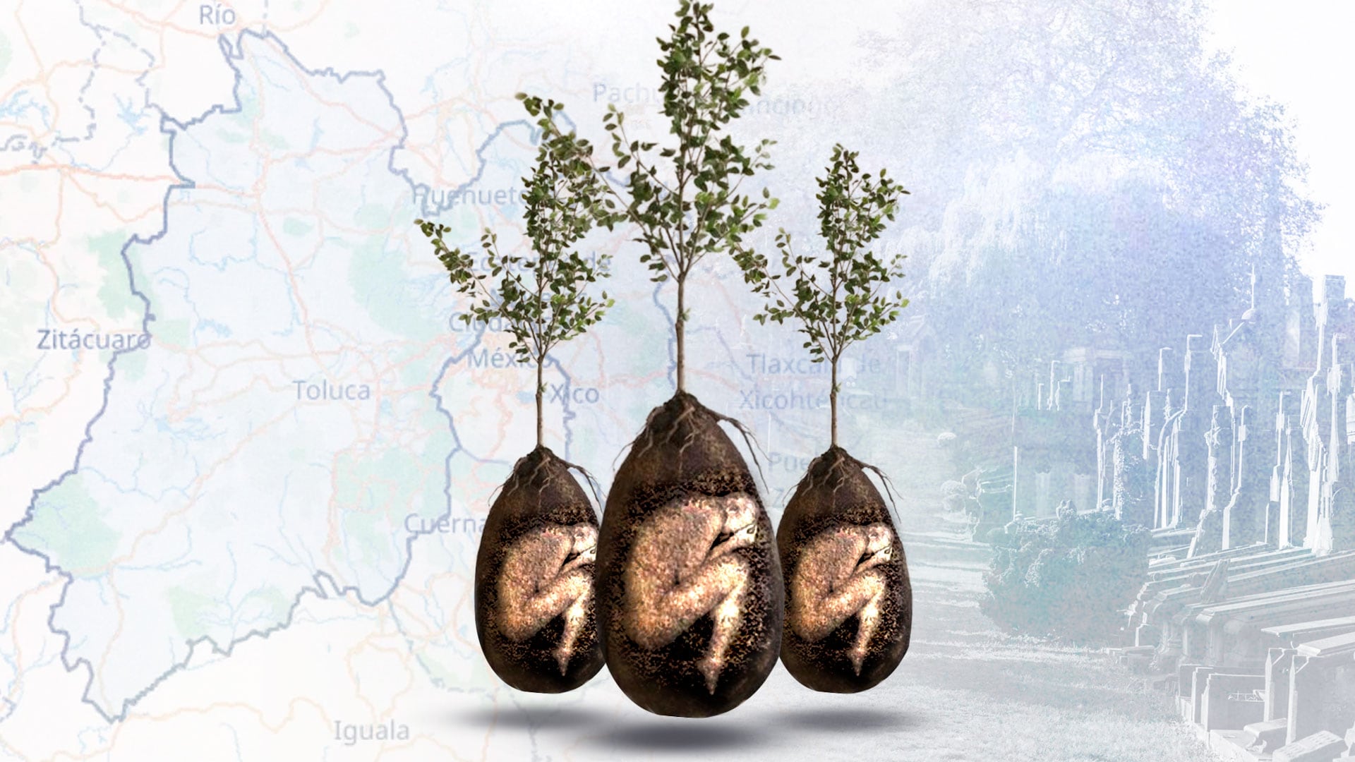 Los panteones verdes o ecológicos permiten la inhumación legal con prácticas ambientalmente responsables para preservar el ecosistema local. | (Crédito: Jesús Áviles/Infobae México)