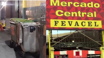 Hallan sin vida a recién