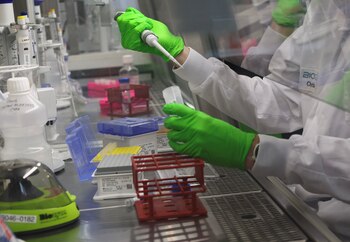 Los investigadores usaron el modelo