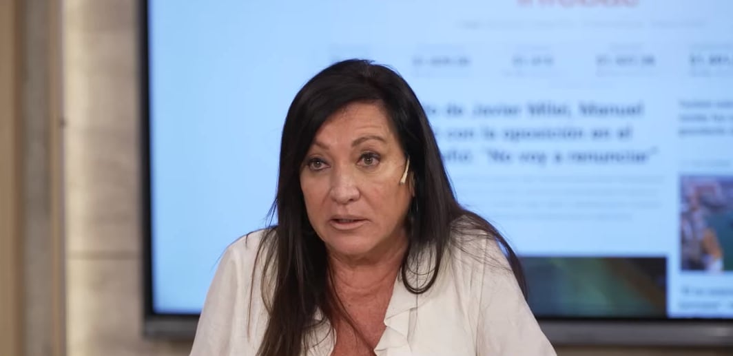 Rodríguez Machado diferenció el uso de subsidios del gobierno actual, destacando la introducción de líneas de crédito y permisos para facilitar la transición económica (Infobae en Vivo)