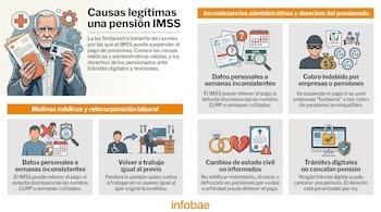 Infografía con ilustraciones de un hombre mayor, documentos, iconos sobre causas médicas, laborales, administrativas y trámites digitales, además del logo Infobae.