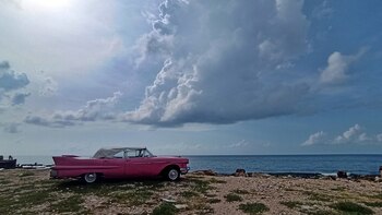 Registros ponen a 2022 como