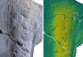 Imagen HENC6PXMJBEXXFNZAGAQJPZIEM