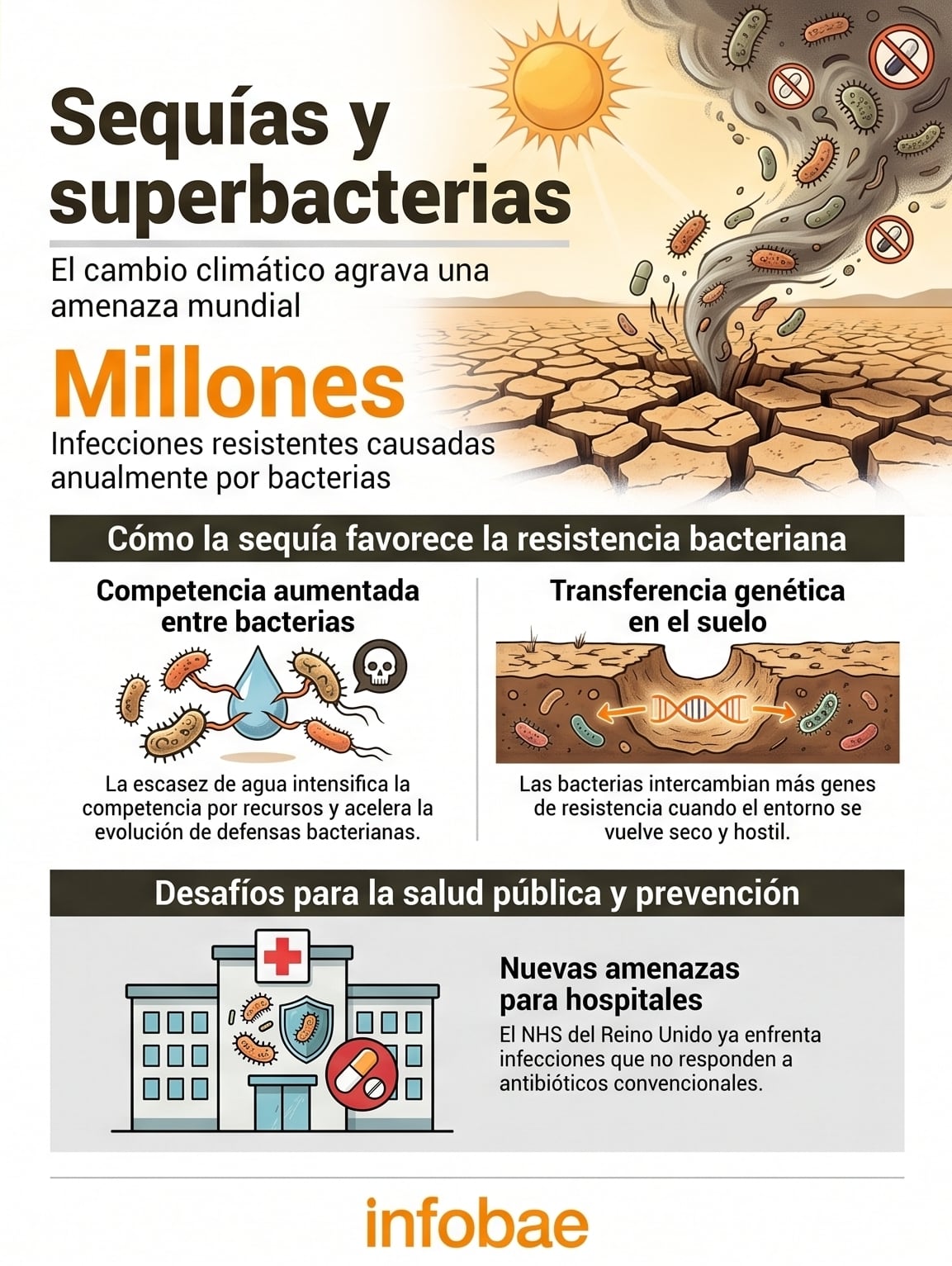 El análisis científico encontró que la competencia entre bacterias en suelos afectados por sequía estimula mecanismos evolutivos que pueden dificultar el tratamiento de infecciones en humanos, subrayando la importancia de la vigilancia ambiental (Imagen Ilustrativa Infobae)