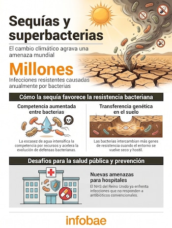 Infografía mostrando la relación entre sequías y superbacterias. Incluye un sol, suelo agrietado, diversas bacterias y un edificio de hospital.