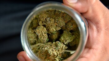 El estado colombiano debería suministrar