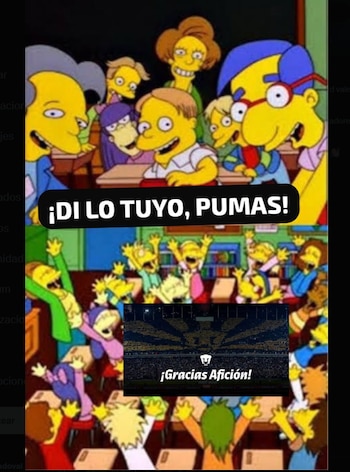 Memes pumas