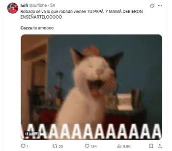 (Captura de pantalla X)