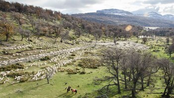 "Troperos", el documental