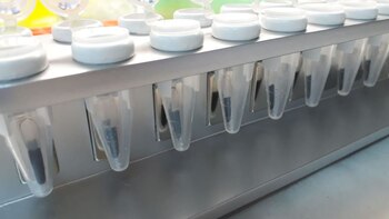 Investigadores del CONICET y la