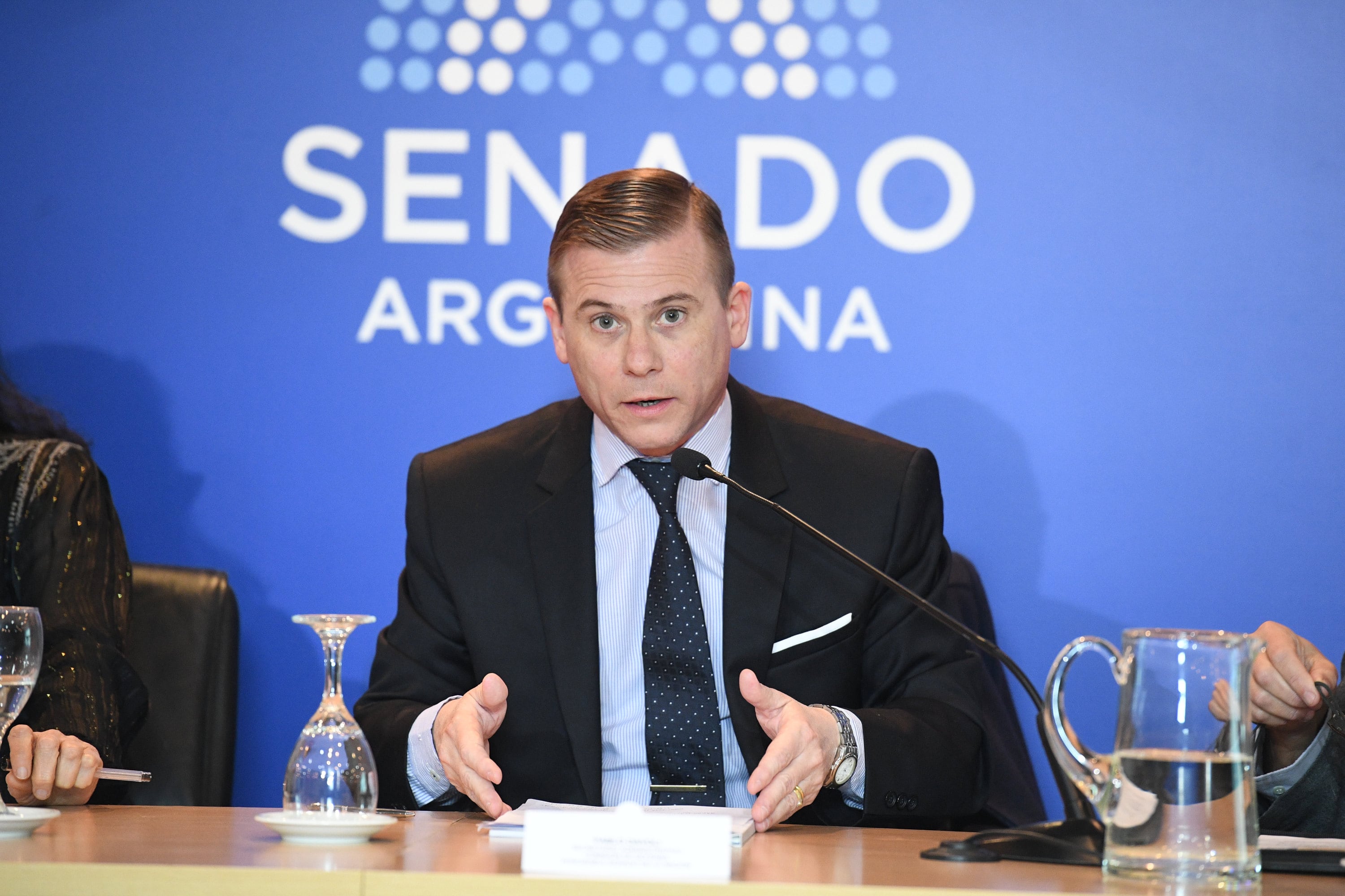 Pablo Dávoli (Foto: Juan Carlos Cardenas / Comunicacion Senado)