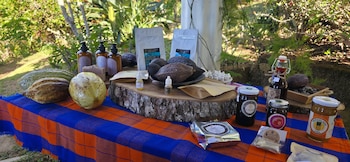 Representantes asiáticos y expertos locales