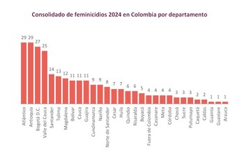 Casos de feminicidio por departamento
