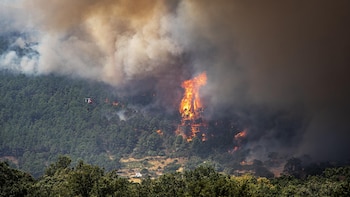 Unas 80.000 personas evacuadas o confinadas por los incendios de Madrid y Ávila