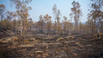 El entorno del incendio de Niebla seguirá con altas temperaturas y un perfil "seco" hasta el sábado
