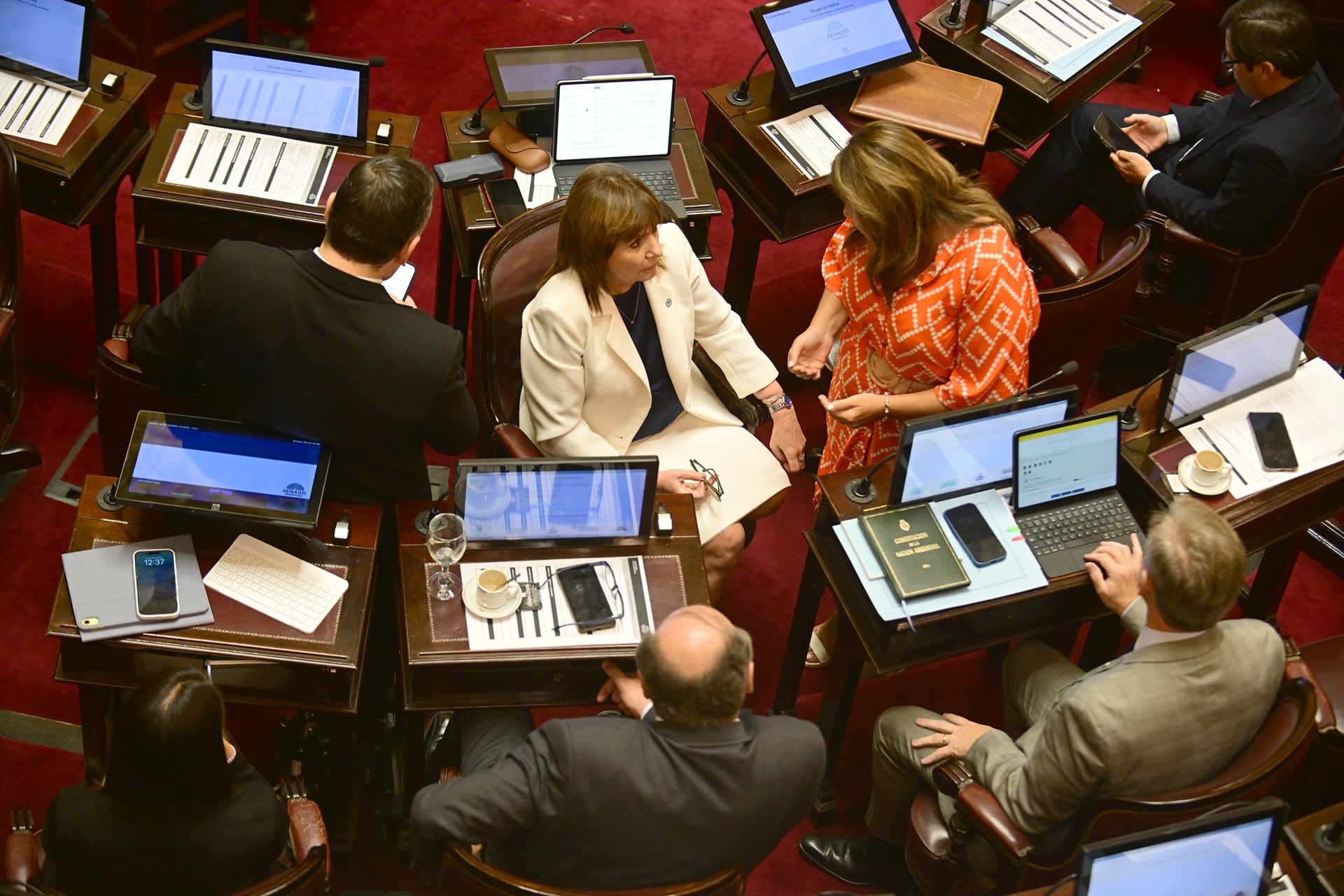 Una vista aérea de senadores en plena sesión legislativa en el Senado, donde se discuten propuestas clave incluyendo temas relacionados con los glaciares. (Maximiliano Luna)
