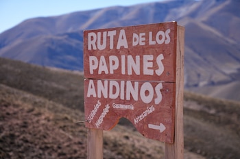 Mientras el cambio climático altera bosques, agua y biodiversidad en el norte argentino, mujeres indígenas y rurales están liderando respuestas económicas que combinan conservación, producción y saberes ancestrales