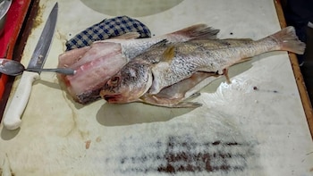 El área de Fiscalización de