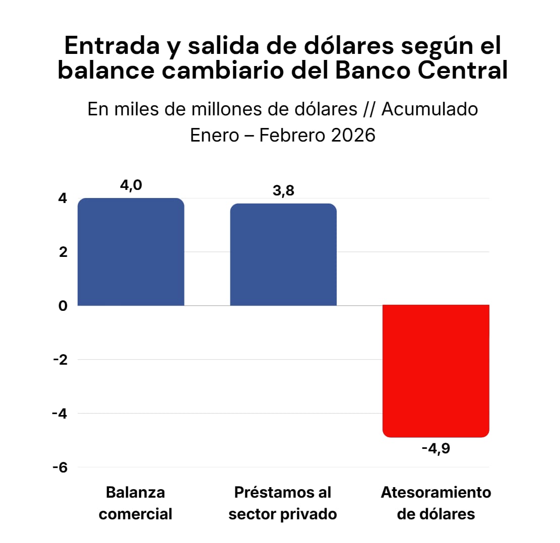 El balance cambiario del Banco Central muestra el impacto negativo por atesoramiento de dólares (Idesa)