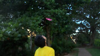 Galerías y artistas argentinos en