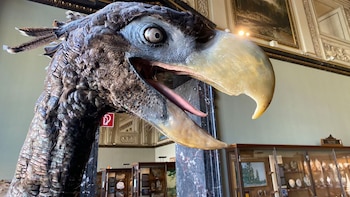 Este descubrimiento en el trópico