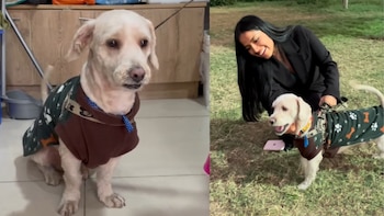 Tobi ahora disfruta de su