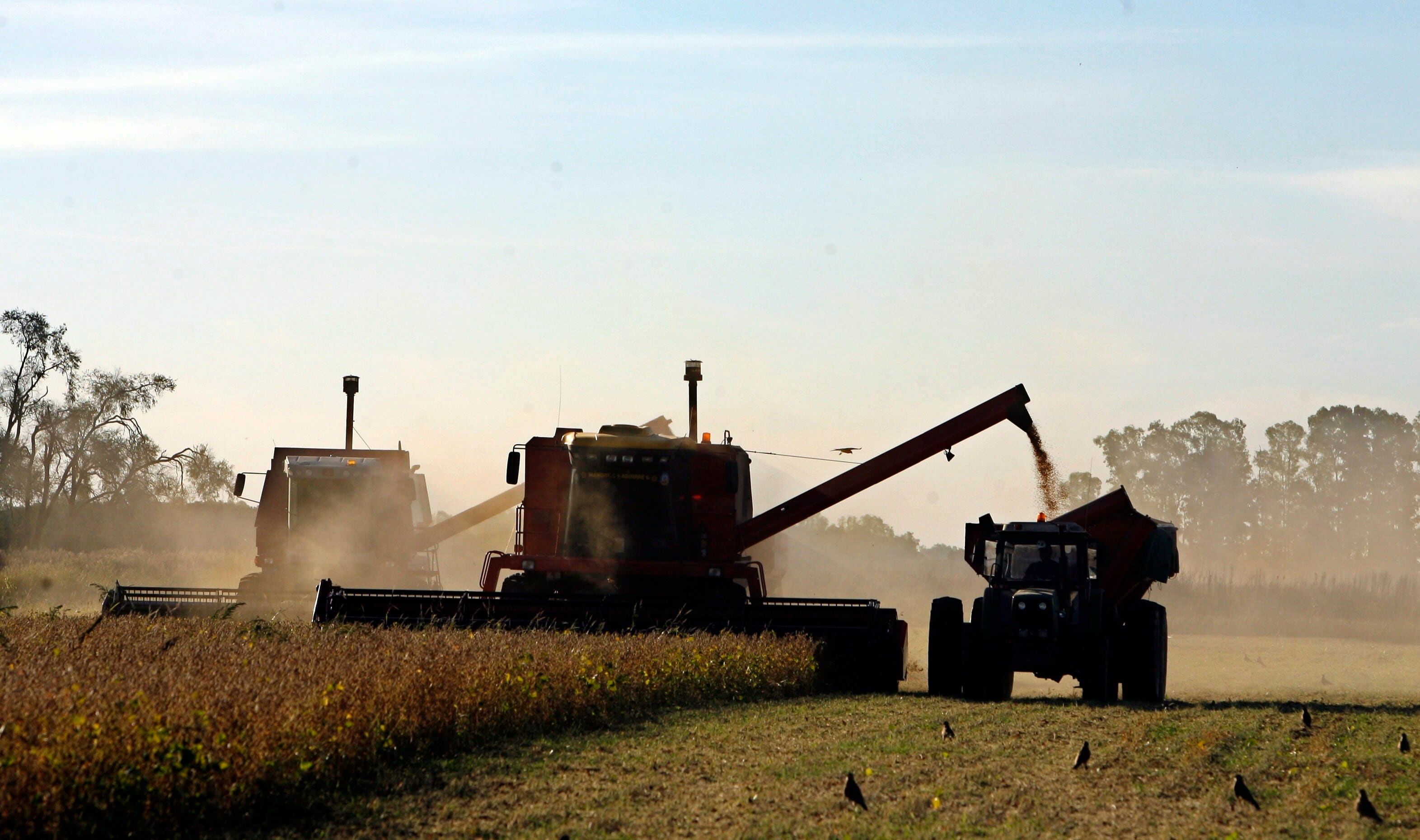 Sin el agro, la actividad económica habría caído 1% en diciembre (EFE)