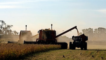 La actividad económica tuvo una