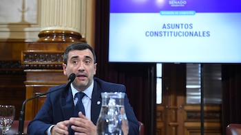 El Senado comenzará a debatir la reforma electoral y los aliados demandarán Ficha Limpia por separado