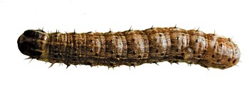 Photographer: Waldo Swiegers/Bloomberg